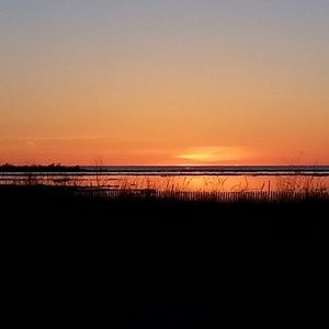 Meet your Posher, Lorna